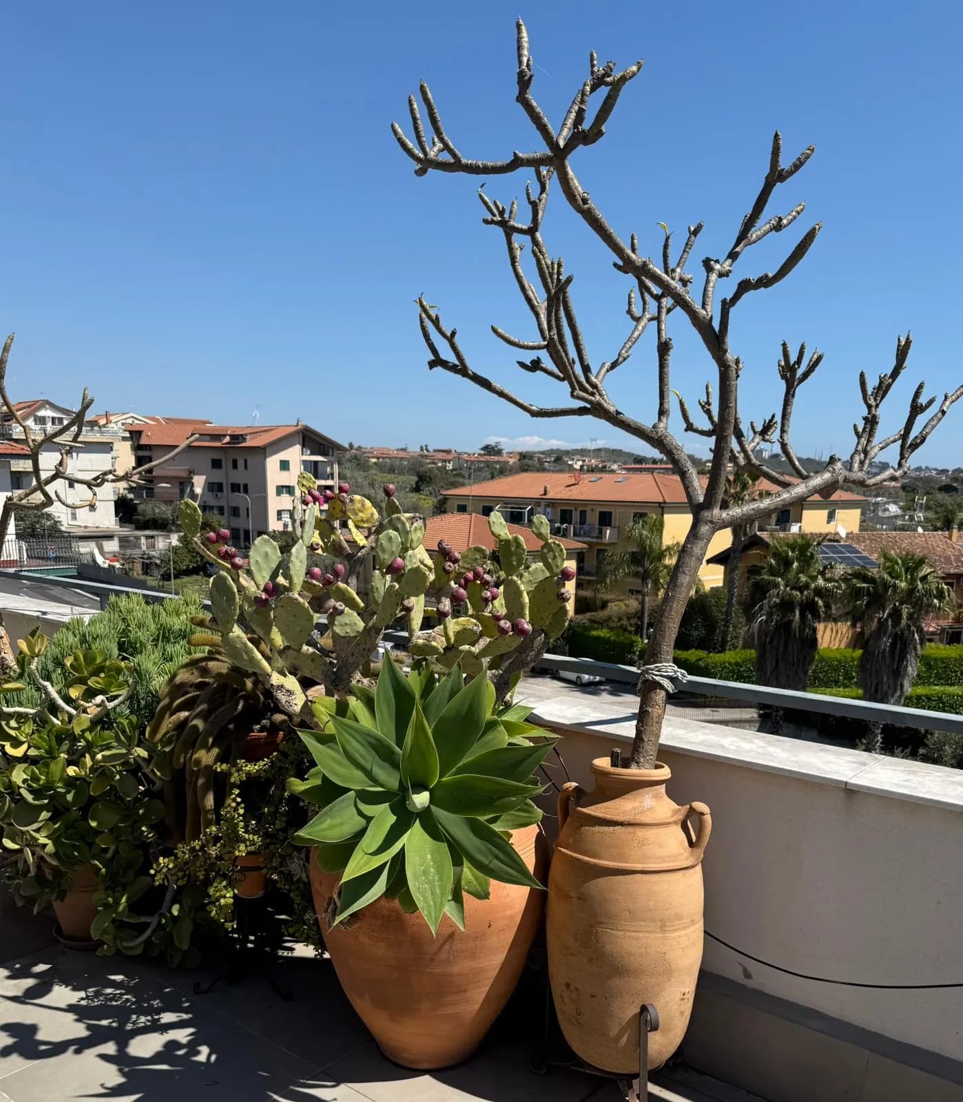 Outdoor dining area on the penthouse terrace
